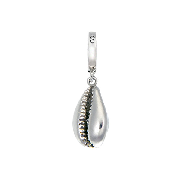 Cowrie Shell